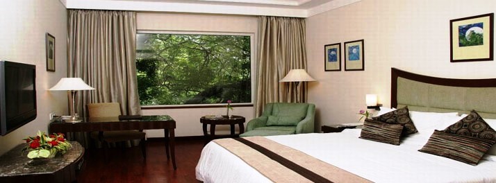 1263/The Muse Sarovar Portico - New Delhi 11.jpg